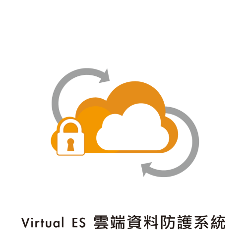 VirtualES Cloud Data Protection System