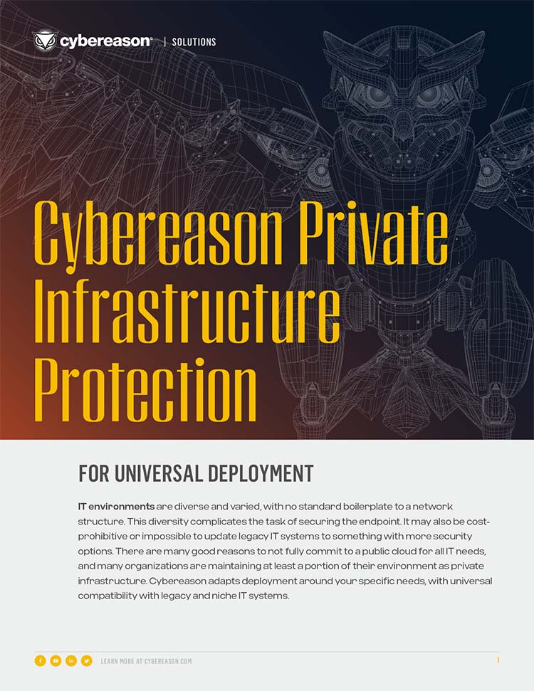 Private Infrastructure Protection