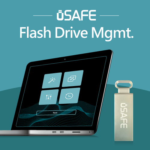 uSAFE Flash Drive Management System