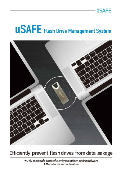 uSAFE Flash Drive Management System