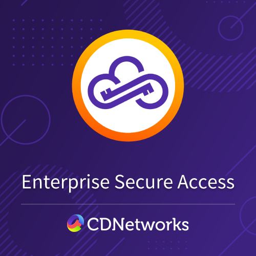 Enterprise Secure Access（零信任 解決方案）
